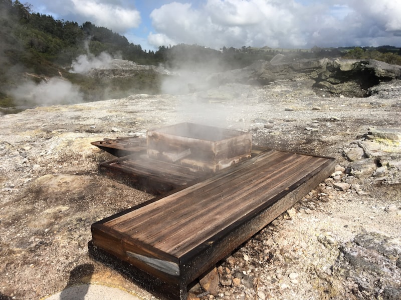 uploaded image amoeba hangi ulkenin markasi 1708041940227