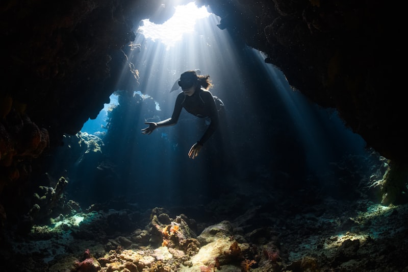 Discovery Expedition Hangi Ülkenin Markasıdır?