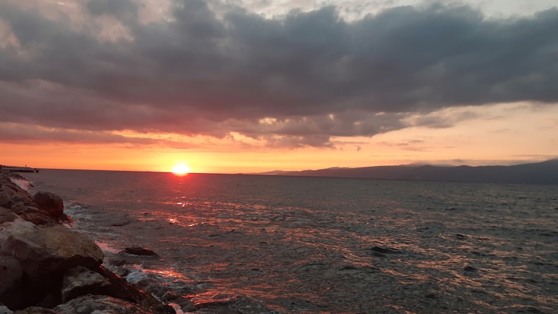 Gemlik Öner Zeytinleri Nerenin Malı Markası?