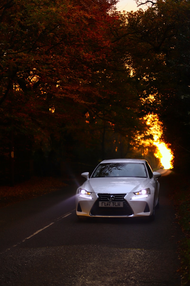 Lexus Nerenin Arabası Markası?