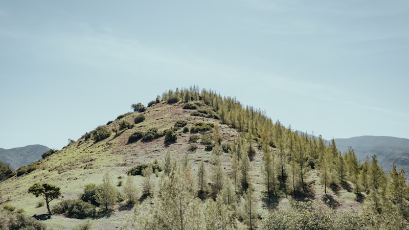 uploaded image springday nerenin mali markasi 1707685283531
