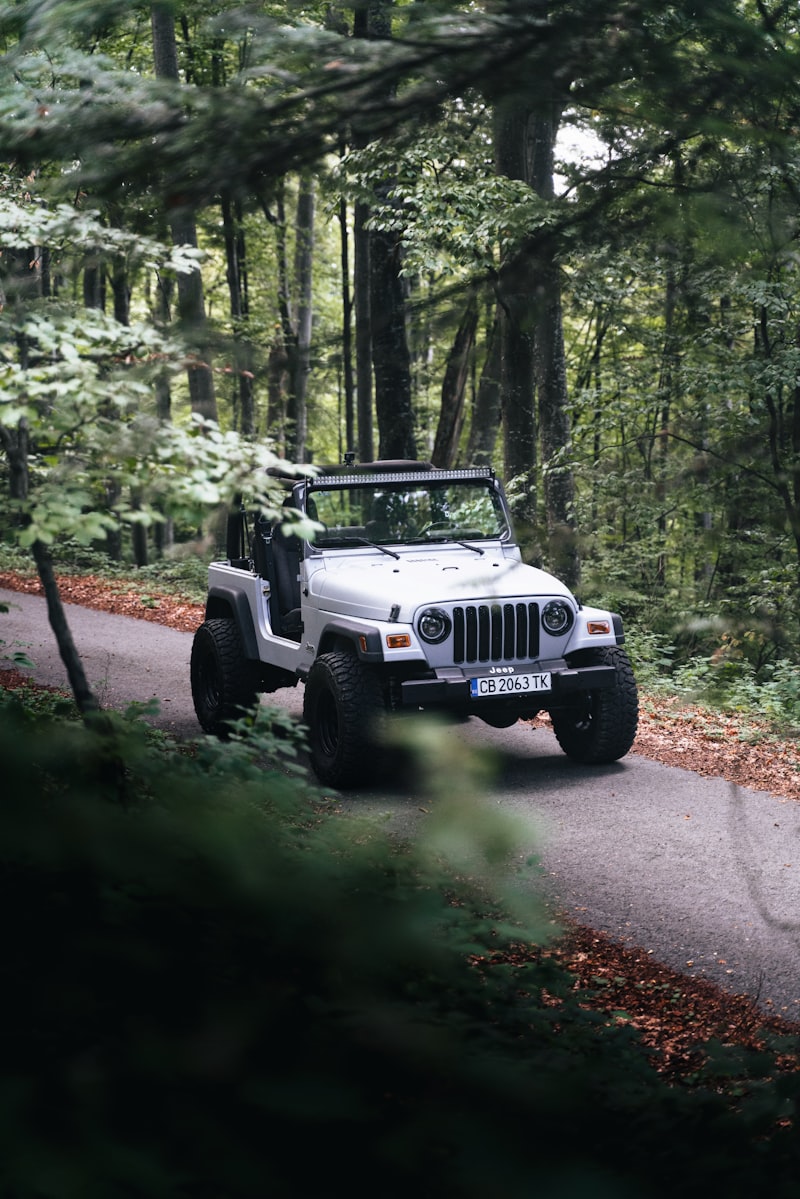 Wrangler Hangi Ülkenin Markası? Wrangler Hangi Ülkenin Markası?