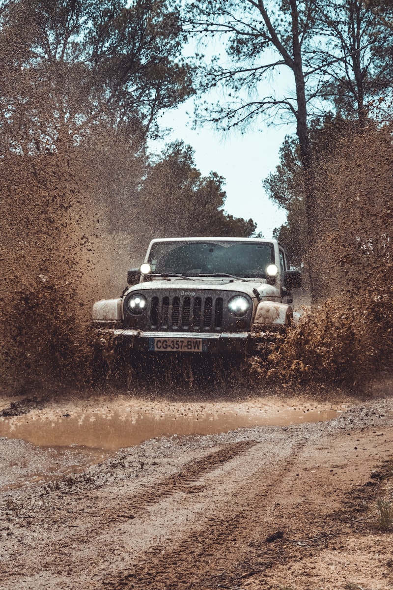 Wrangler Hangi Ülkenin Markası? Wrangler Hangi Ülkenin Markası?